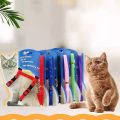 cat harness.