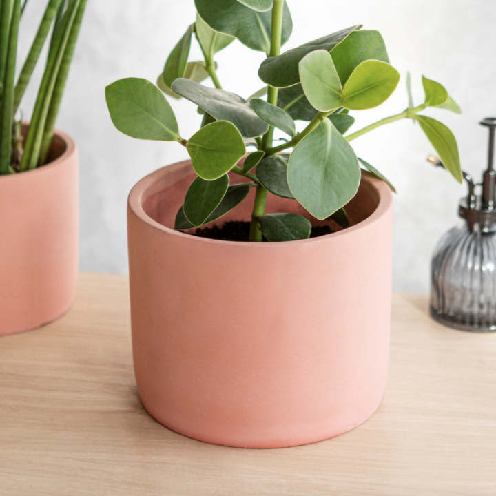 Plantable%20vase%20with%20a%20tray(2%20piece%20combo%20set)Home%20and%20living%20room%20decorative%20-%20Image%205