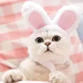 Cute Bear Rabbit Hooded Pet Cat Dog Accessories Cosplay Cat Hat Winter Lovely New Year Puppy Headgear Soft Velvet Pets Supplies. 