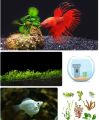 Aqua Plant Vital (Aquarium plant nutrients solution / Aquarium plant food).
