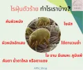 Genuine (old shop sells well) spray, dust mite remover, dust mite remover, anti-mite, kill bacteria, mattress, pillow cover, hypoallergenic, natural herbal 100%. 