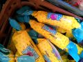 Candyland Original Bubble Pop (Pack Of 50 Pieces) /Tutti Frutti Bubble Gum / Sub Se Bhri Bubble Phulao / Surprised Tatto Inside / Long Time Chewable Flavoured Bubble Gum / With Affordable Price. 