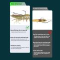 25pcs/Box Shrimp Back Hook Spring Live Shrimp Rigged Ready-Made Lure for Sea Bass and Rockfish Fishing, 1/0-5/0hook.