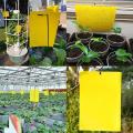 50pcs Glue Trap Catcher Sticky Boards Yellow Sticky Traps Eliminate Flies Insect Bug Garden Glue Paper Board Plant Flycatchers. 