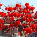 10pcs Chinese New Year Decoration Red Lantern Newyear Dragon Year Traditional Lanterns Wall Decor Japanese Lantern Asian Decor. 