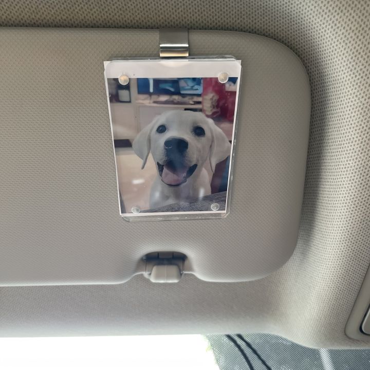 1pc Photo Car Visor Clip, Photo Car Decoration, Polaroid Photo for Car, Couples Gift, Valentine's Day gift, Wallet Photo Holder