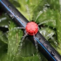 100-1000pcs Adjustable Drip Irrigation Droppers Rotating Sprinklers 1/4'' Emitter Dripper For Micro Balcony Yard Watering System. 