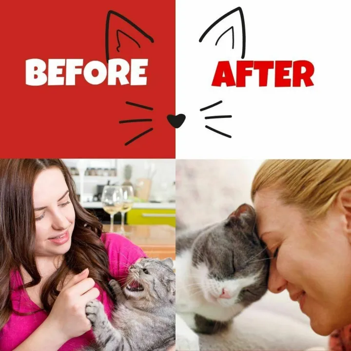 Giggly%20pet%20-%20Cat%20Nip%20Spray%20-%20Catnip%20Spray%20for%20Calming%20&%20Training%20Cats%20%20-%20120%20Ml%20-%20Natural%20Anxiety%20Relief%20Health%20Care%20for%20Pets%20Buyers'%20Choice%20Catnip%20Spray%20for%20Cats%20-%20Image%204