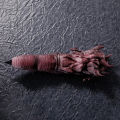 11CM Jujutsu Kaisen Ryomen Sukuna Finger Anime Jujutsu Kaisen Finger Cosplay Prop Plastic Accessories Figure PVC Model Toy .