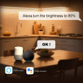 Tuya WiFi Motion Sensor Single color LED Controller DC12V 24V for COB 5050 2835 LED Strip stairs lighting APP, Alexa  Home. 