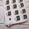Independence Day Badge / Pakistan flag badge/ Flag badge/ 14 August badges. 