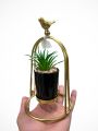 Luxurious Small Golden Metal Decorative Planter – Elegant Artificial Succulent in Black Glossy Pot for Homedecor, Room, drawingroom, Eid, Ramdan, Office, and Tabletop Décor, Modishbazar.. 