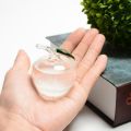 Desktop Stylish Apple Bird Swan Shaped Crystal Weather Forecast Bottle Glass Storms Weather Predictor Monitor Barometer For Home. 