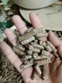 Wood Pellets
|
Heating Pellets
| Fuel Pellets
| 500 gram pack of pellets | bedding for chicks | Eco-Friendly Fuel
|
Wood Pellet Fuel
|
Pellet Stove Fuel
| BBQ Wood Pellets. 