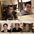 D-Dylan O Brien Pillow Case Anti-dustmite Invisible zipper Sofa Bed.