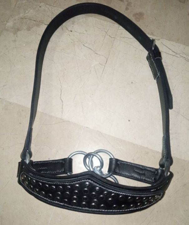 Cow%20halters%20talyara%20pure%20leather%20-%20Image%202