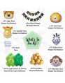 Jungle Theme Birthday Decoration Kit- 37 Pcs Combo Balloon, Bunting for Kids | Animal Theme Birthday Party Decorations | Jungle Safari Theme Birthday Decoration. 