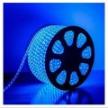 Blue Flexible Rope Led Strip light Water Proof and multiple sizes to choose for indoor and outdoor use long life bulbs rope lights. 