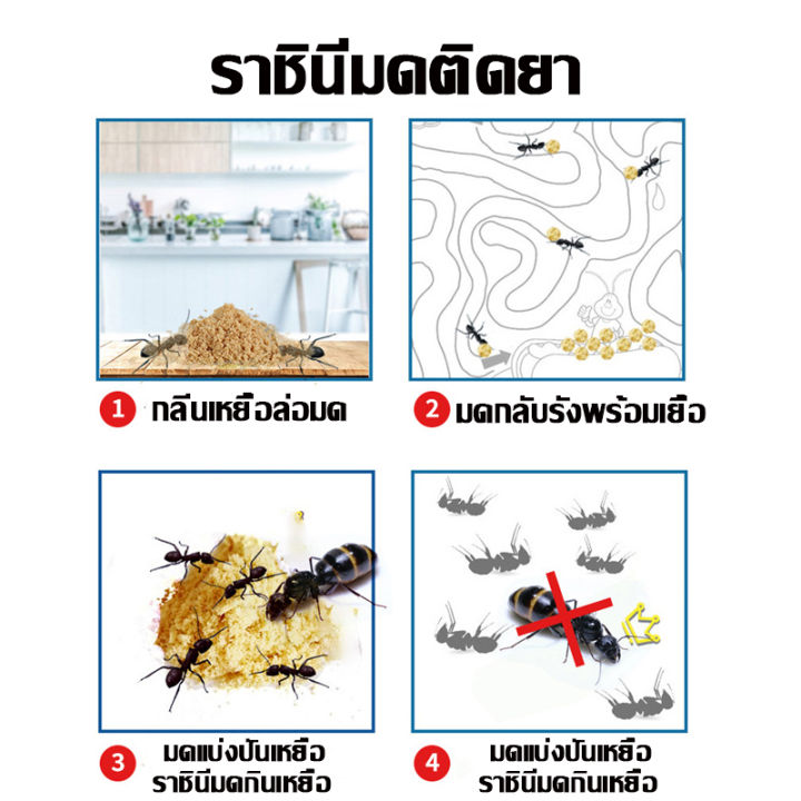Effective%20100%25%20the%20fast%20ant%20killer,%20remove%20ants,%20raise%20ants,%20raise%20ants,%20raise%20ants,%20remove%20ants,%20remove%20ants,%20raise%20nests,%20all%20kinds%20of%20ants,%20insecticide%20day,%20ant%20killer,%20kill%20ants,%20raise%20nests%20ants%20killer%20-%20Image%205