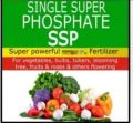 Single Super Phosphate  Fertilizer  ssp 1kg Repack Indian SSP. 