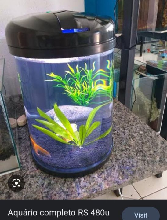 imported%20Aquarium%20(480%20U)%20-%20Image%202