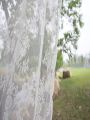 1pc YIYI Outdoor Lace Curtains German Style White Flower Sheer Rod Pocket Curtain. 