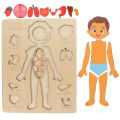 Montessori Puzzles Busy Board Human Body Teaching Learning Body Parts For Children Early Education Games Toddlers Quiet Books. 
