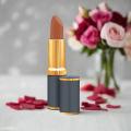 Medora Matte Lipstick 208 - Terracotta. 