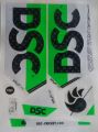 New 3B 2024 DSC GREEN Edition Cricket Bat Sticker For Professional Players. 