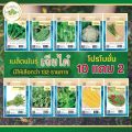 Chia Tai (buy 10 get 2) 5g of red okra seeds, about 120 roselle seeds, roselle seeds, vegetable seeds, planting vegetables, Garden Kitchen. 