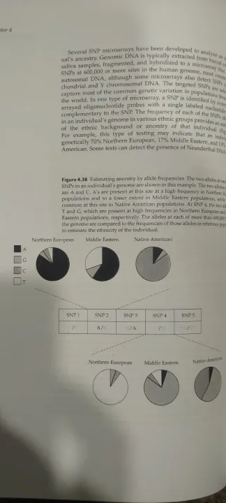 Molecular%20Biotechnology%20principles%20and%20applications%20of%20Recombinant%20DNA%20-%20Image%206