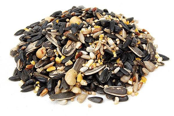 Mix Feed And Seeds for Ringneck , Raw Parrot And Big Birds 1 KG