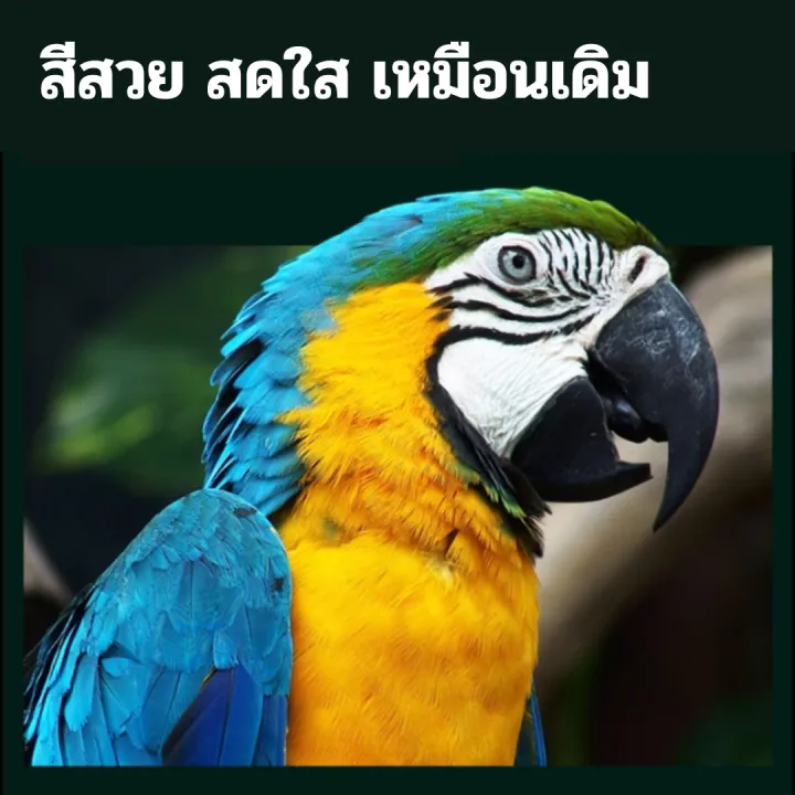 Epson%20664%20Refill%20Ink,%20Premium%20Grade,%20Genuine%20Quality,%20for%20L110%20L120%20L210%20L220%20L310%20L360%20L405%20L455%20L555%20L565%20Etc.%20-%20Image%203