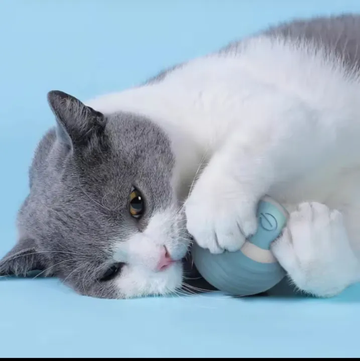 Cat%20ball%20toy%20cat%20Toy%20item%20for%20cat%20-%20Image%205