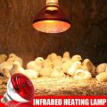 1pc Red Heat Lamp Bulb 100W Infrared Basking Spot Light for farm Eggs Incubator Hatcher Hatching. 