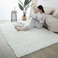 Fluffy Carpet Living Room Plush Lounge Rug in The Bedroom Floor Mat Soft Velvet Carpets For Children Kids Decoration .