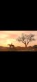 Red Dead Redemption Playstation 4.