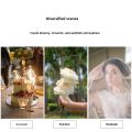 Soft White Diffusion 1/4 Filter Mist Dreamy Cinematic Effect Filter Ultra Slim 49mm 52mm 55 58 62 67 72 77mm 82 mm Soft Filter.
