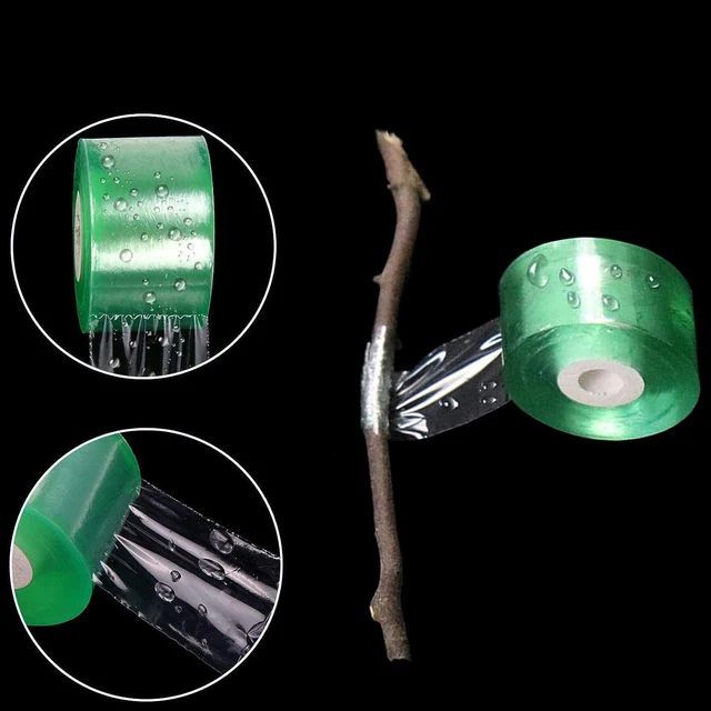 2cm100m Grafting Tape Stretchable Self-adhesive Film Plant Tree Seedling Nurse E - Foto 6
