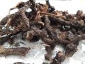 Nagarmotha  50gm | Nagarmota | ناگر موتا Cyperus Rotundus Roots. 