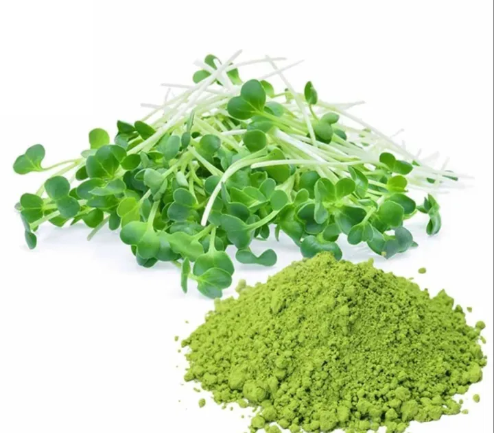 Alfalfa%20Powder%20-%20Green%20Superfood,%20Natural%20supplement%20(200%20Grams)%20-%20Image%203