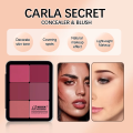 12-Color Iron Box Concealer Blush Cream Matte Highlight Contour Makeup All-in-One Palette. 