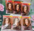Belini Excellent Hair Color (Chocolate Honey Brown) (6Pis Pack). 
