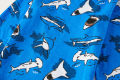Age 1-8 Kids Sleepwear 4 Seasons Cotton Full Print Cartoon Shark Pajamas Boys Daily Basic Long Sleeved Soft Loungwear Set.