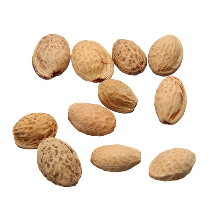 Authentic!!%20100%25%20seeds%20(30%20seeds)%20plant%20seeds%20cherry%20blossom%20sakura%20cherry%20tree%20Japanese%20garden%20decoration%20garden%20Sakura%20seed%20cultivation%20bonsai%20seeds%20-%20Image%203