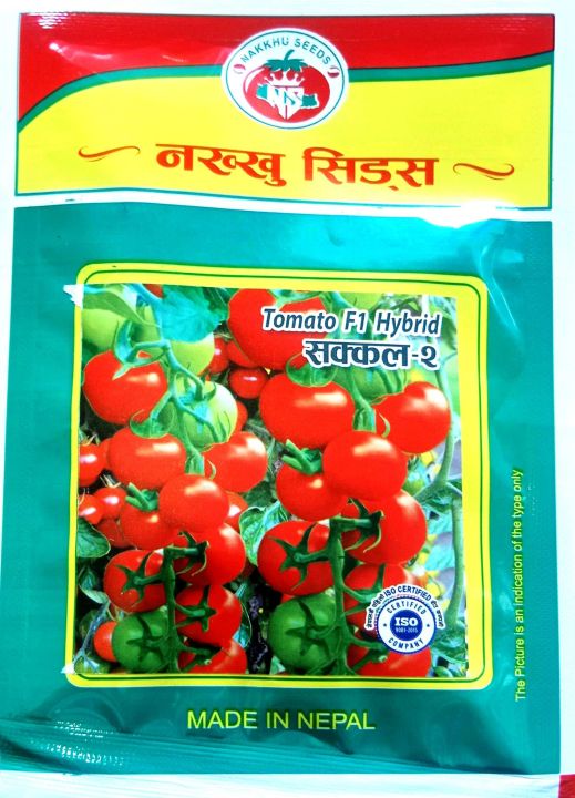Nakkhu%20Sakkal%20-2%20Hybrid%20Tomato%20Seeds%20-Vegetables%20Seeds%20(2Grm)%20-%20Image%203