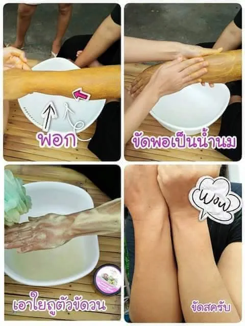 Prewpraw,%20a%20Dazzling%20Scrub.%20Prewpraw,%20a%20Dazzling%20Scrub,%20Ginseng%20and%20Lemon%20Scrub,%20Ginseng%20and%20Lemon%20Mask,%20Scrub%20Mask%20Good%20Som,%20Good%20Ginseng,%20Super%20Ginseng%20-%20Image%204