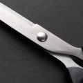 China Steel Scissor 8 inch | Clearance Sale | Fusenf Brand. 