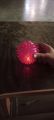 light bolls,simsim boll. 