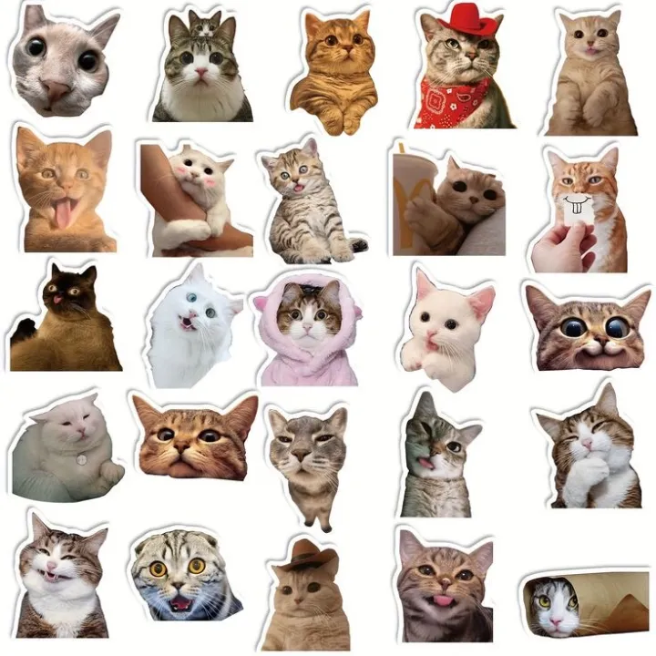 Funny%20Cat%20Sticker%20Sheets%20A5%20Uncut%20Sticker%20Sheets,%20animal%20stickers,%20cat%20memes,%20cute%20cat%20stickers,%20laptop%20sticklers,%20phone%20stickers/Cat%20Lovers%20Sticker%20Pack%20-%20Image%205